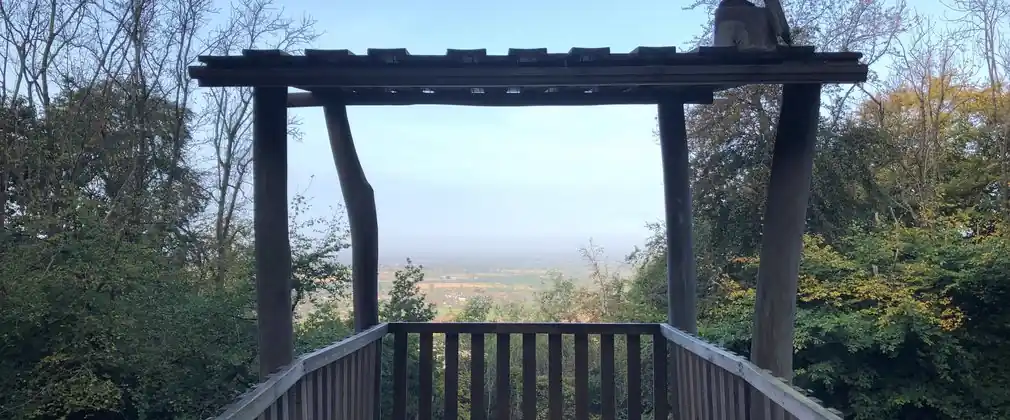 Wendover Woods Views